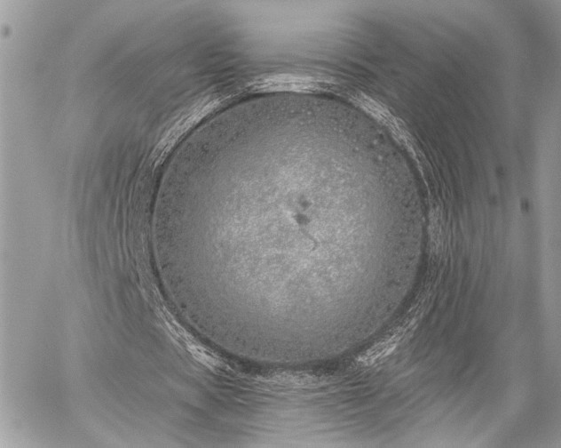 X0000059820529200510241358