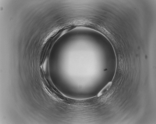 X0000059820530200510241358