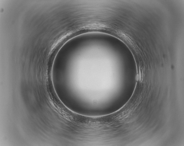 X0000059820531200510241358