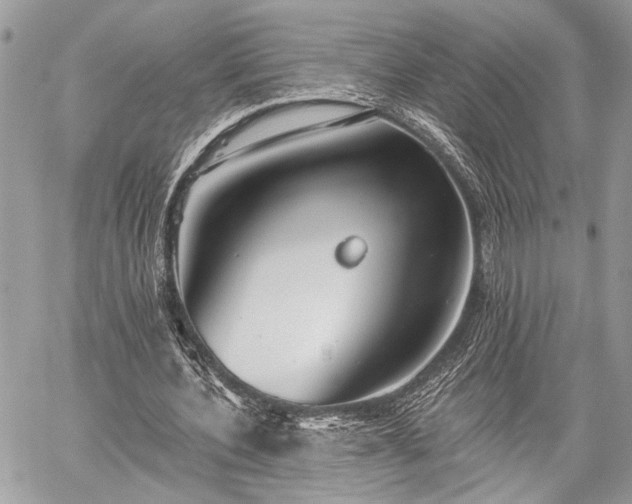 X0000059820532200510241358