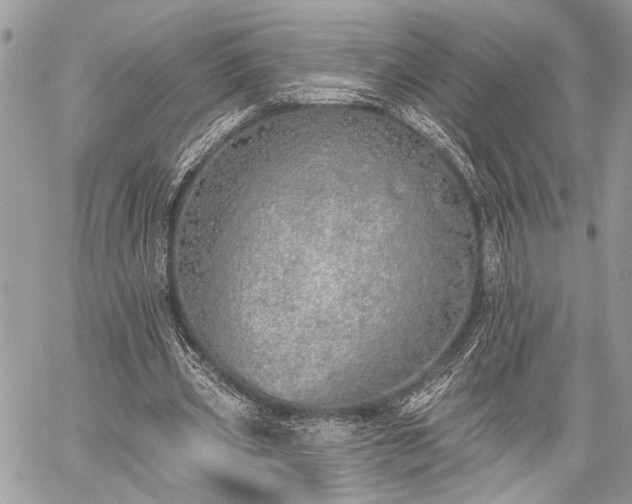 X0000059820533200510241358