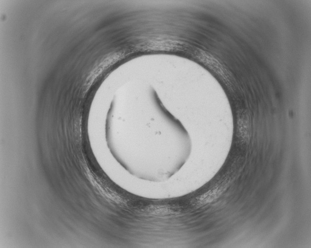 X0000059820534200510241358