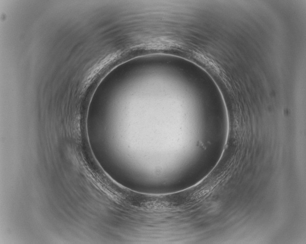 X0000059820535200510241358