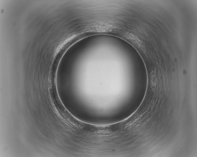 X0000059820536200510241358