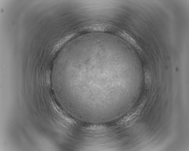 X0000059820537200510241358