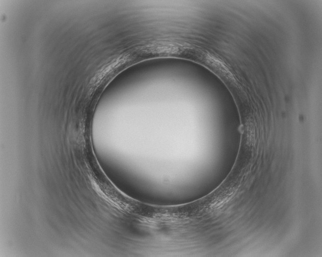 X0000059820538200510241358