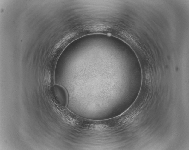 X0000059820539200510241358