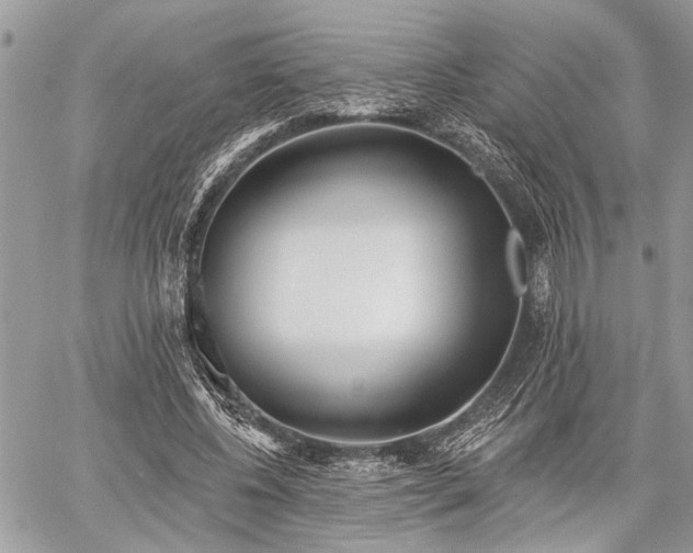 X0000059820540200510241358