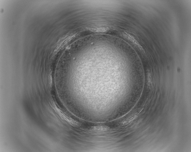 X0000059820541200510241358