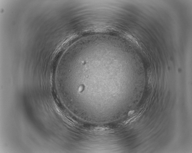 X0000059820542200510241358