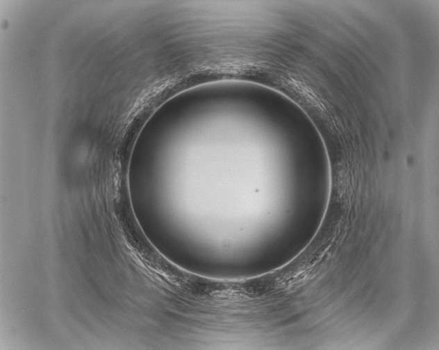 X0000059820544200510241358