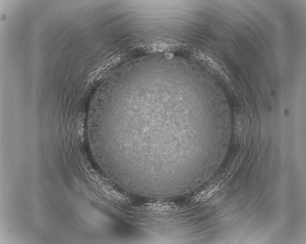 X0000059820545200510241358