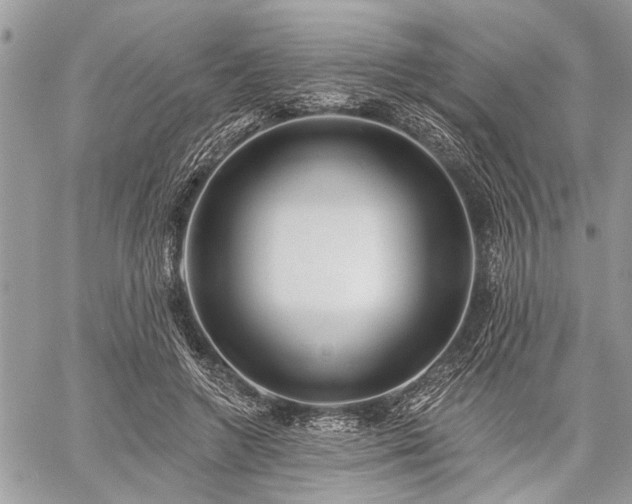 X0000059820546200510241358