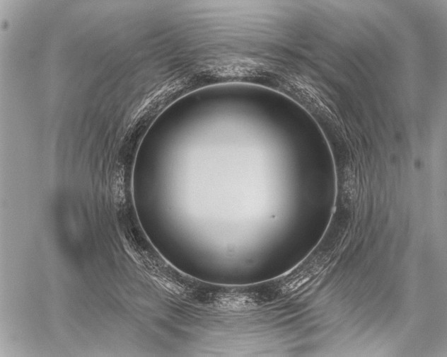 X0000059820547200510241358