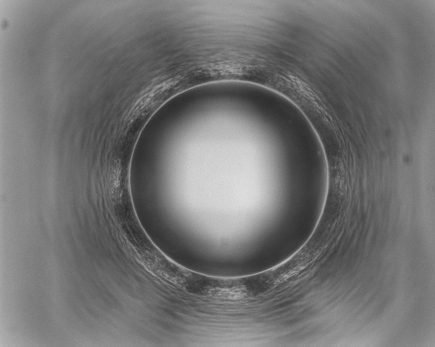 X0000059820548200510241358