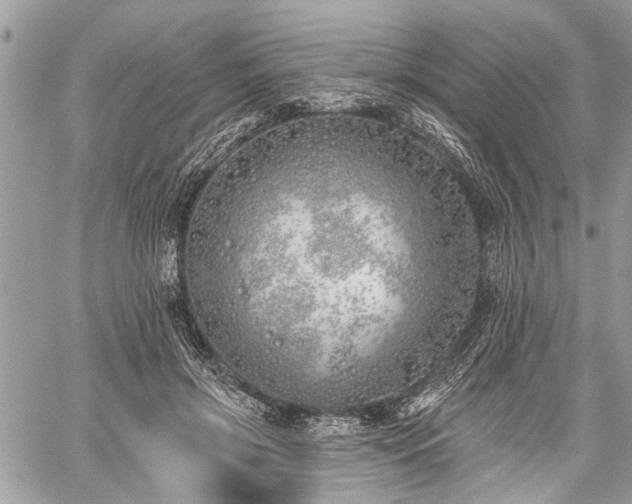 X0000059820549200510241358