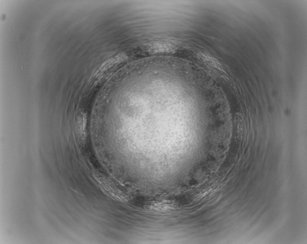 X0000059820550200510241358