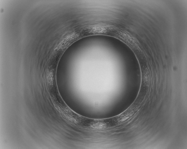 X0000059820551200510241358