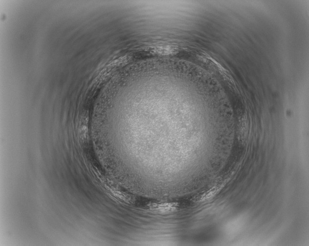 X0000059820553200510241358