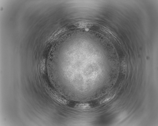 X0000059820554200510241358