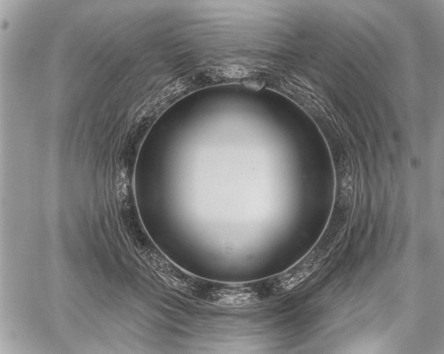 X0000059820555200510241358