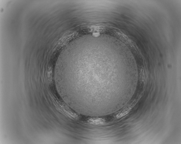 X0000059820557200510241358