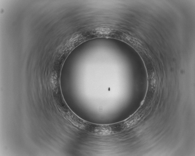 X0000059820559200510241358