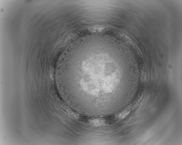 X0000059820561200510241358