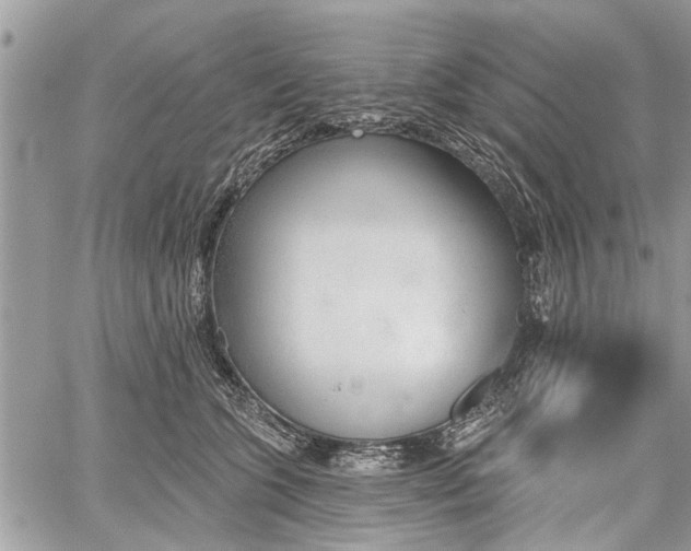 X0000059820563200510241358