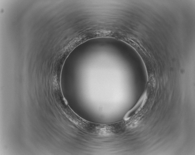 X0000059820564200510241358