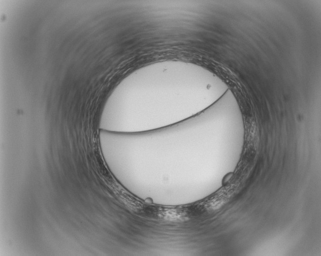 X0000059820565200510241358