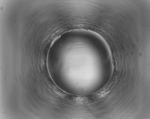 X0000059820566200510241358