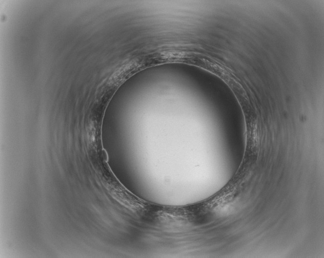 X0000059820567200510241358