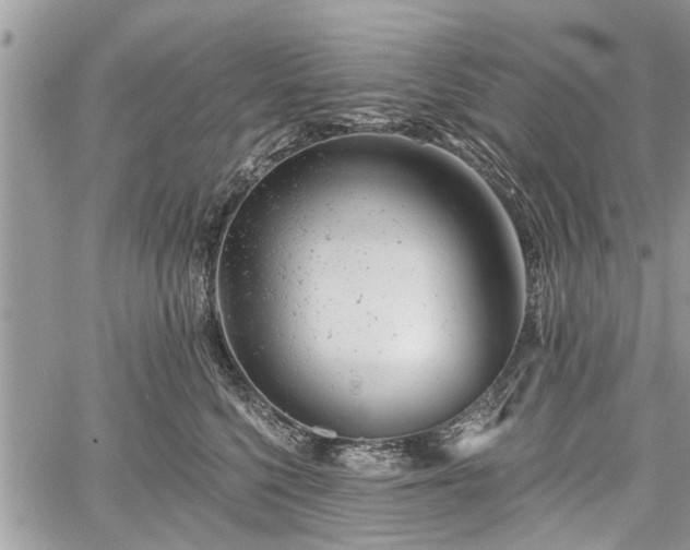 X0000059820568200510241358