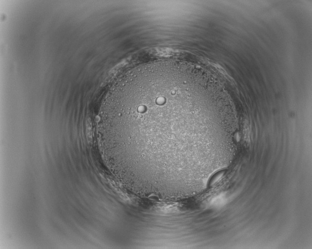 X0000059820569200510241358