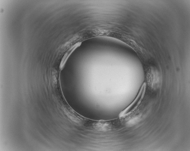 X0000059820570200510241358