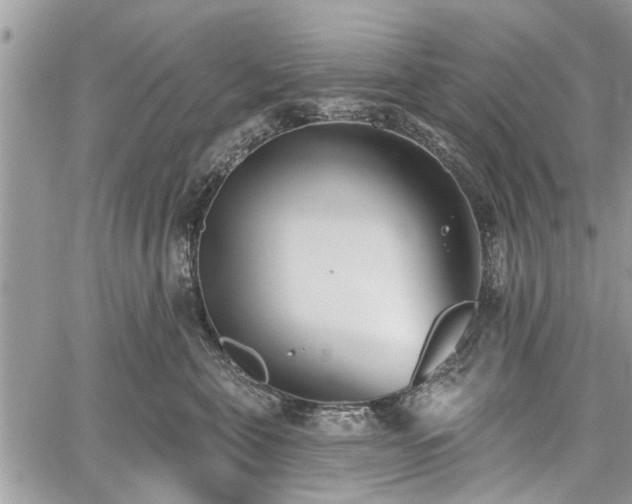 X0000059820571200510241358