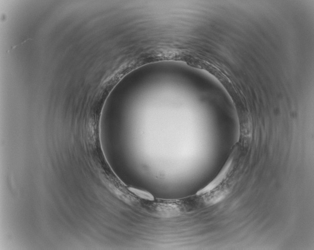 X0000059820572200510241358