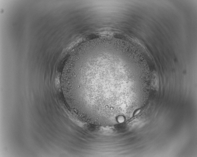 X0000059820573200510241358