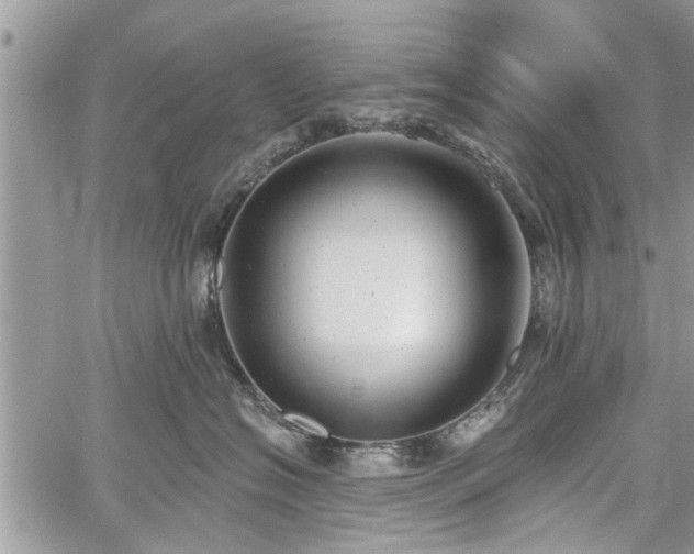 X0000059820574200510241358