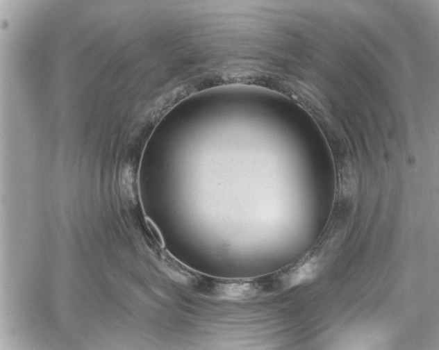 X0000059820575200510241358