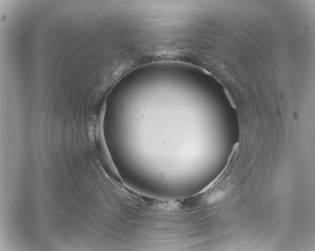 X0000059820576200510241358