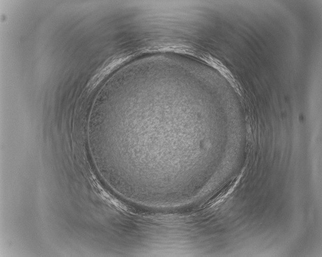 X0000059820577200510241358