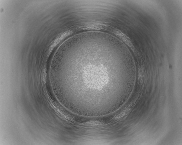 X0000059820578200510241358