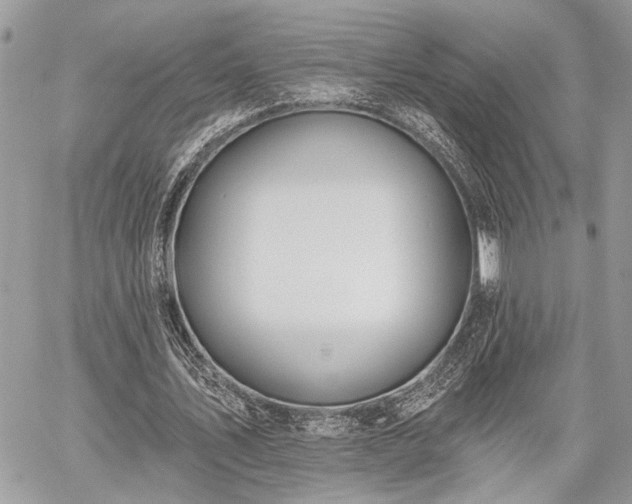 X0000059820579200510241358