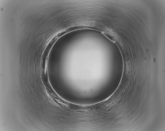 X0000059820580200510241358