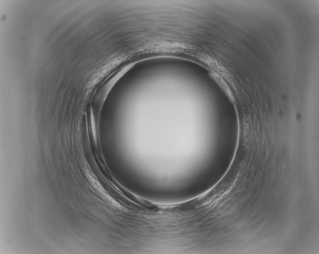 X0000059820581200510241358