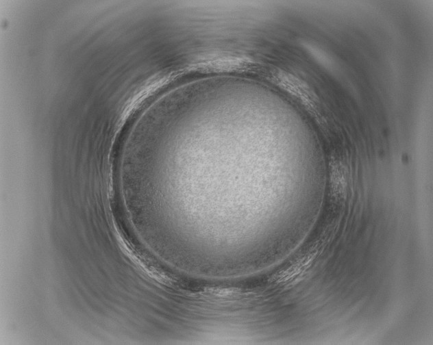 X0000059820582200510241358