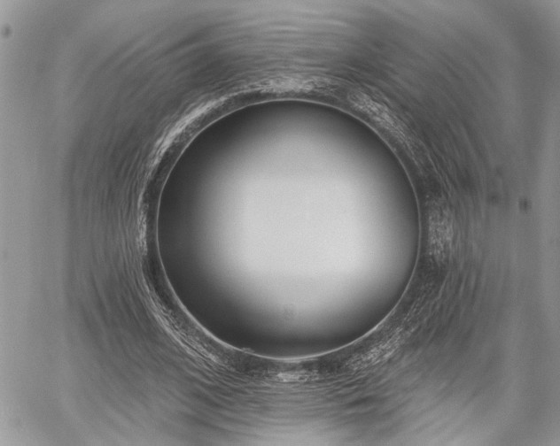 X0000059820584200510241358