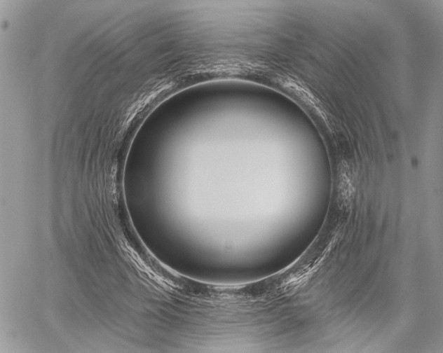 X0000059820585200510241358